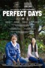 Perfect Days (Días Perfectos)